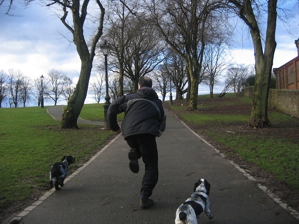 Running with dogs