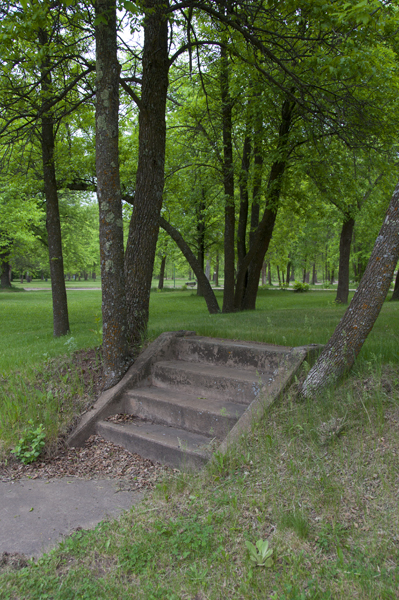 Steps Leading to an Abandoned Foundation