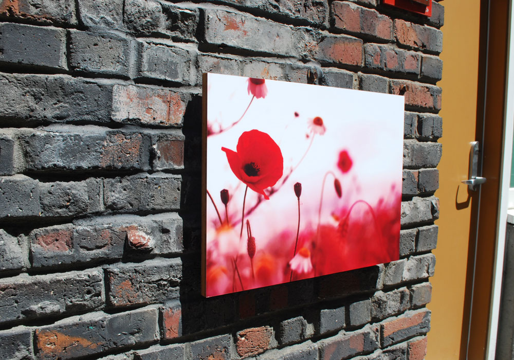 Acrylic Prints: Take Your Photos To Another Level